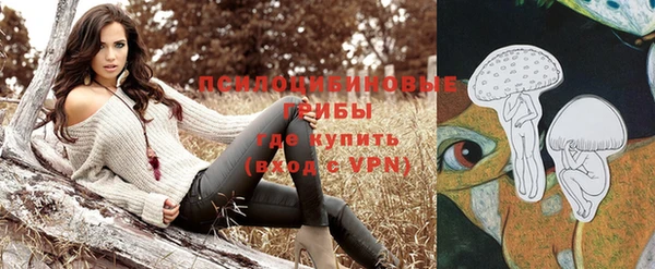 эйфоретик Богородск