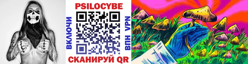 Купить  Котельнич  Галлюциногенные грибы MAGIC MUSHROOMS 