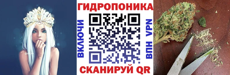 Купить где  Котельнич  Бошки Шишки индика 